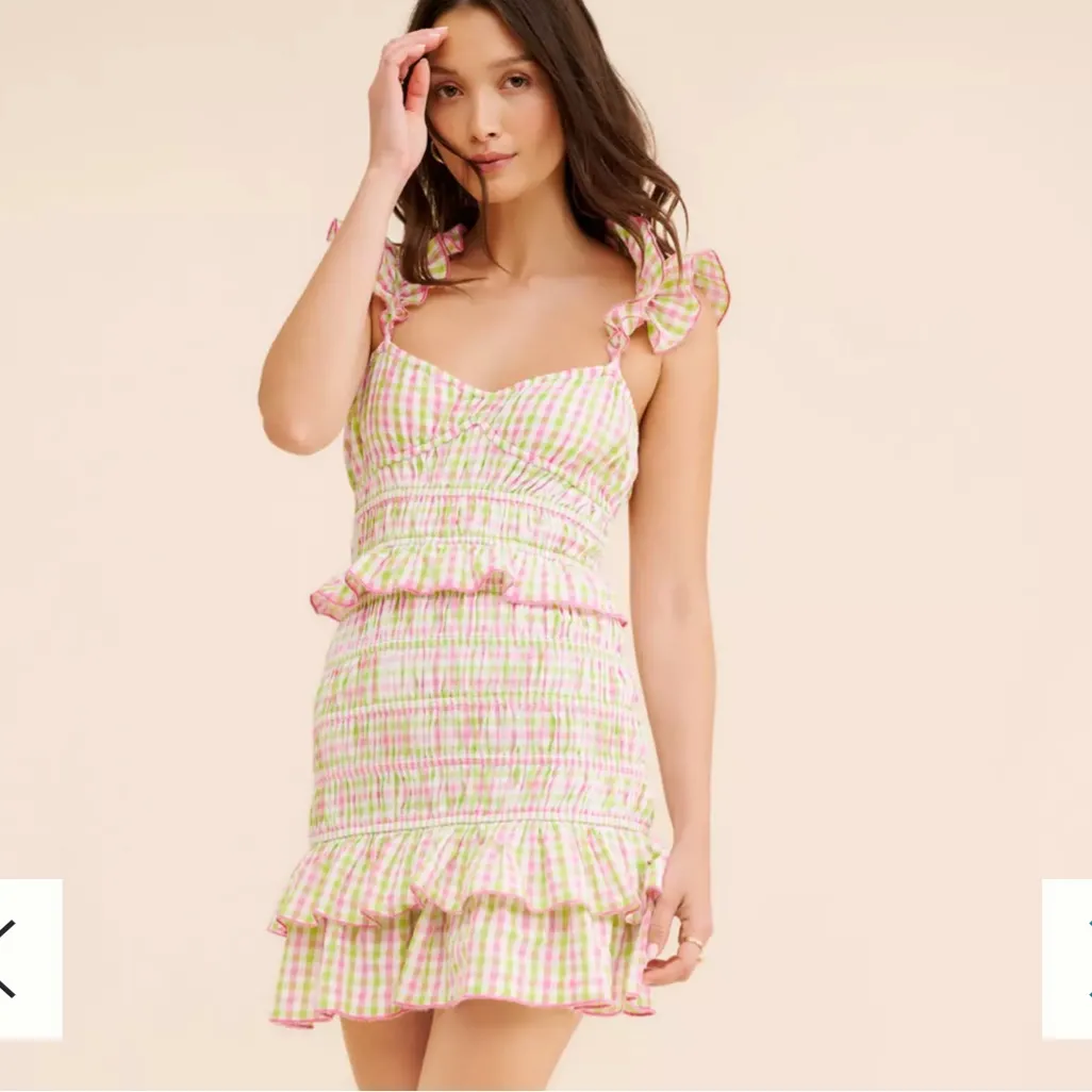 SAYLOR Lantana Dress size Small Pink and Green Gingham Ruffle Mini - Image 4