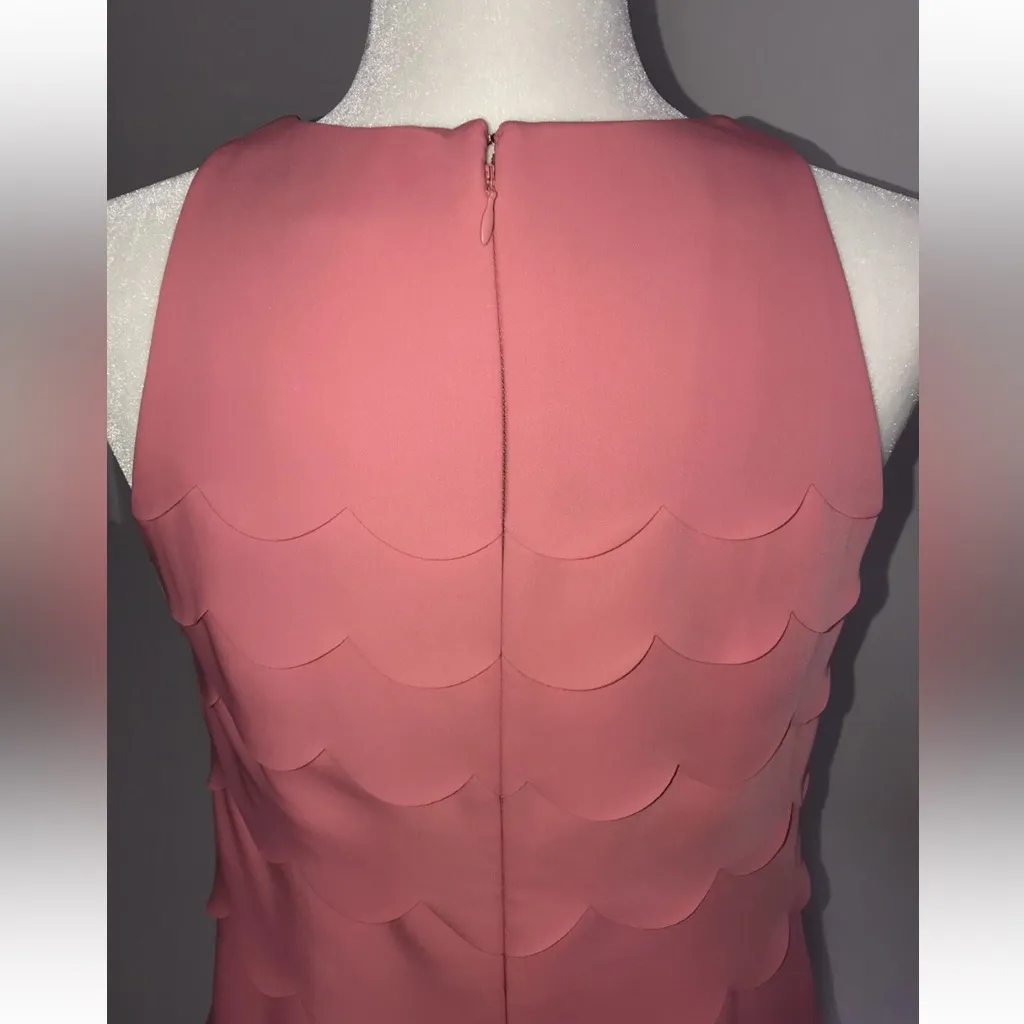 White House Black Market Scalloped Tiered Sculpted Shift Coral Dress Size 6 - Image 5