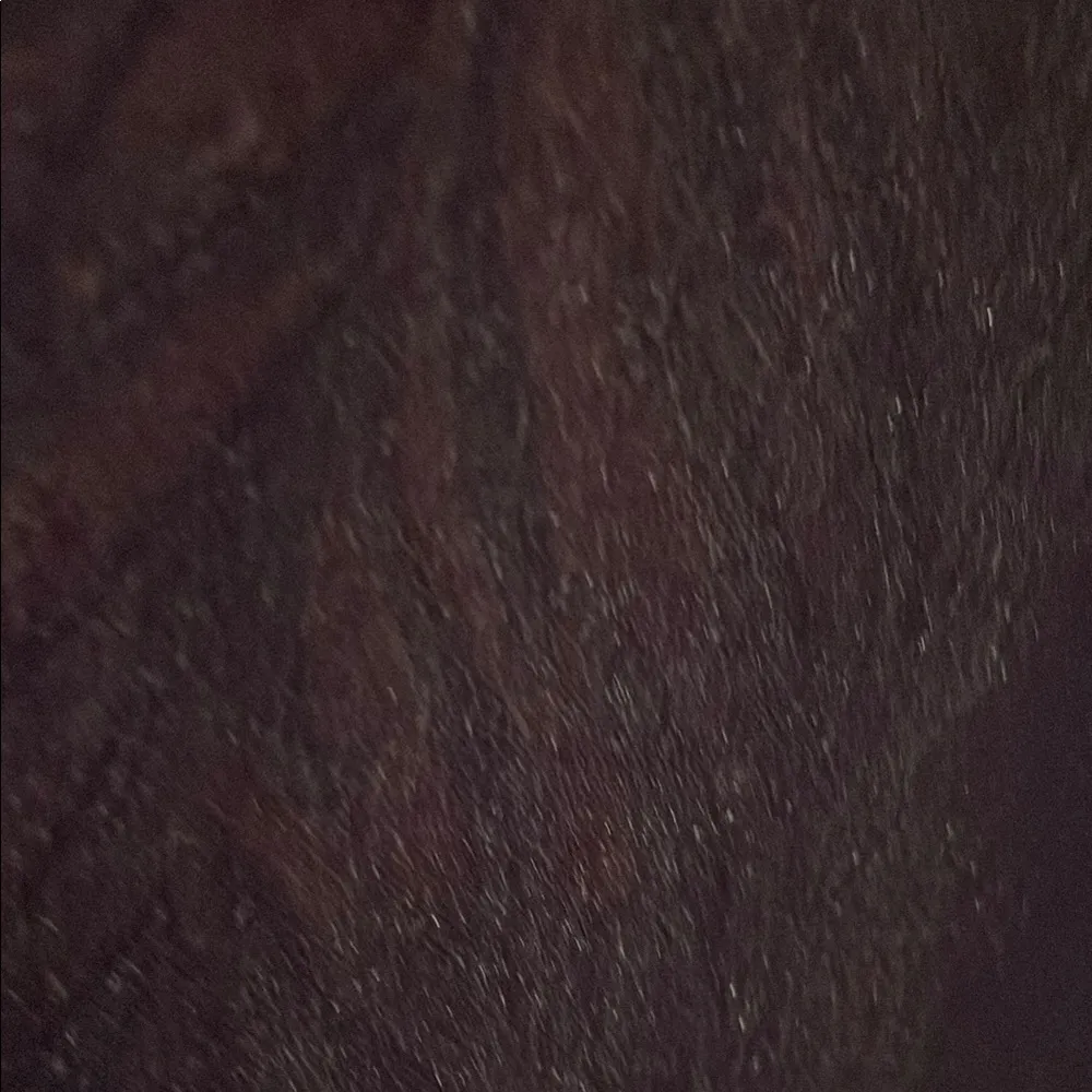 Lularoe Red with Black Lining Medium Sarah from the Elegant Series - Image 5