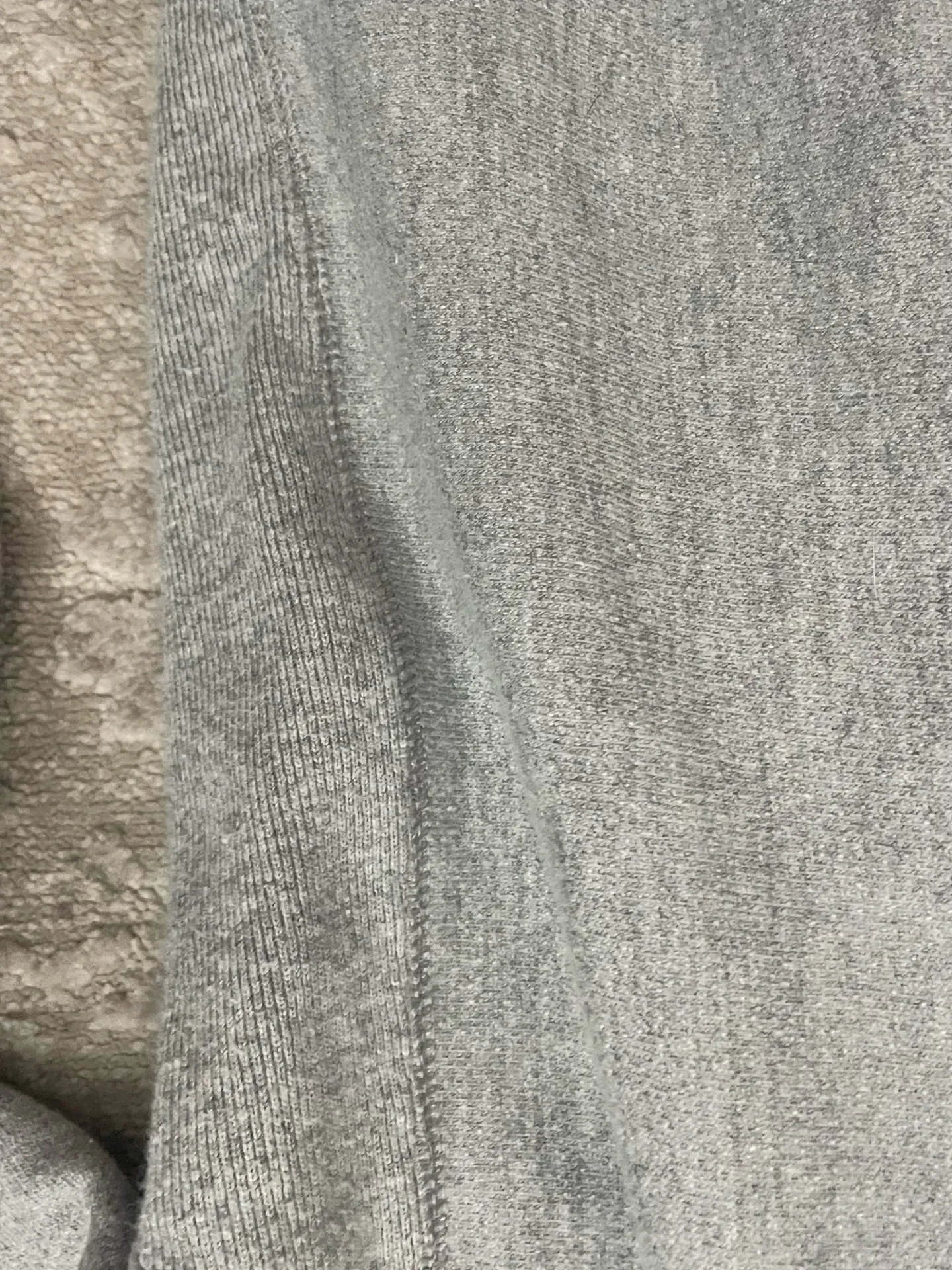 Champion Reverse Weave Gray Hoodie  - Image 5