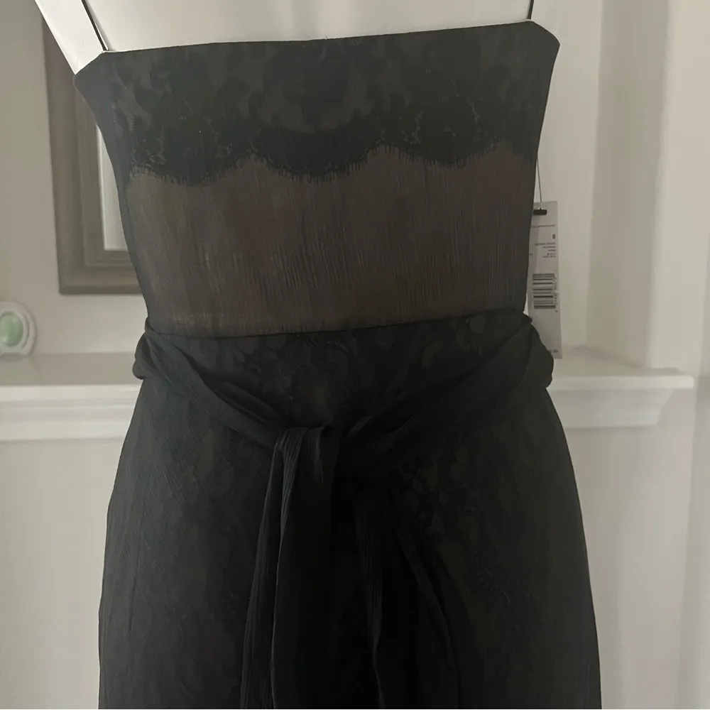 Glenda Dress (100% Silk) Black Chiffon & Lace, Size 8 New w/Tag $698 - Image 11