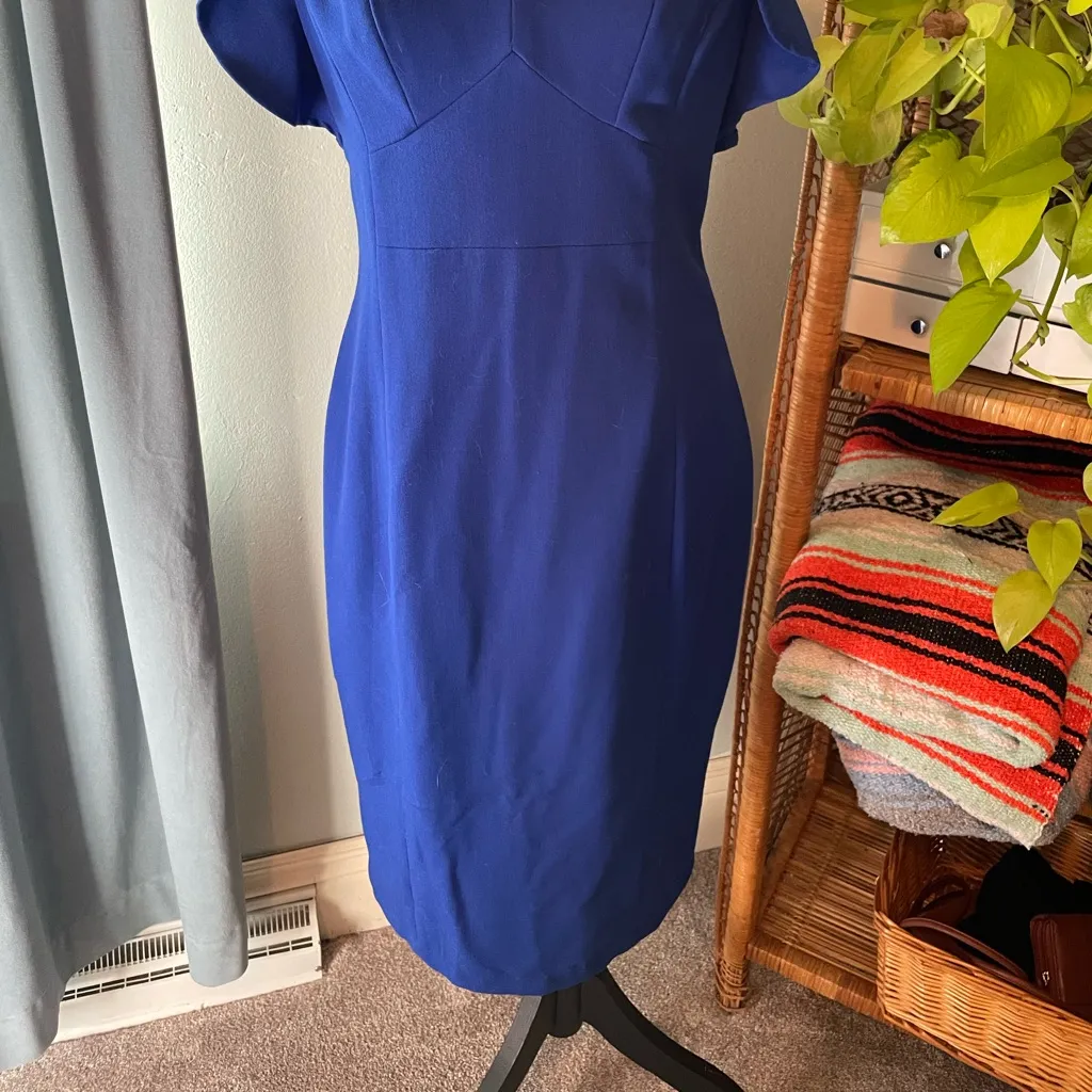 XOXO Royal Blue Sheath Dress with Flutter Sleeves for Cocktail Events Size 9/10 - Image 4