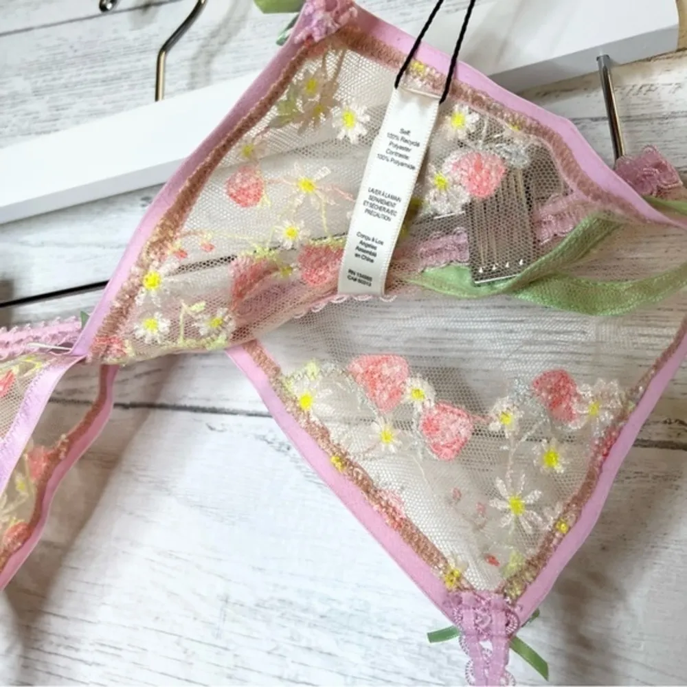 Victoria’s Secret For Love and Lemons Tutti Fruiti Shinmer Garter - Image 5