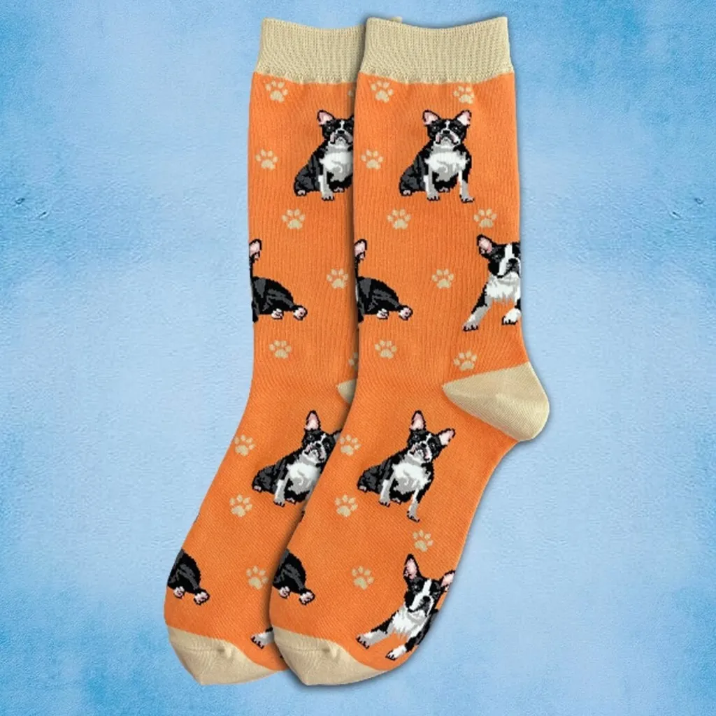 🐾Boston Terrier Full - Image 2