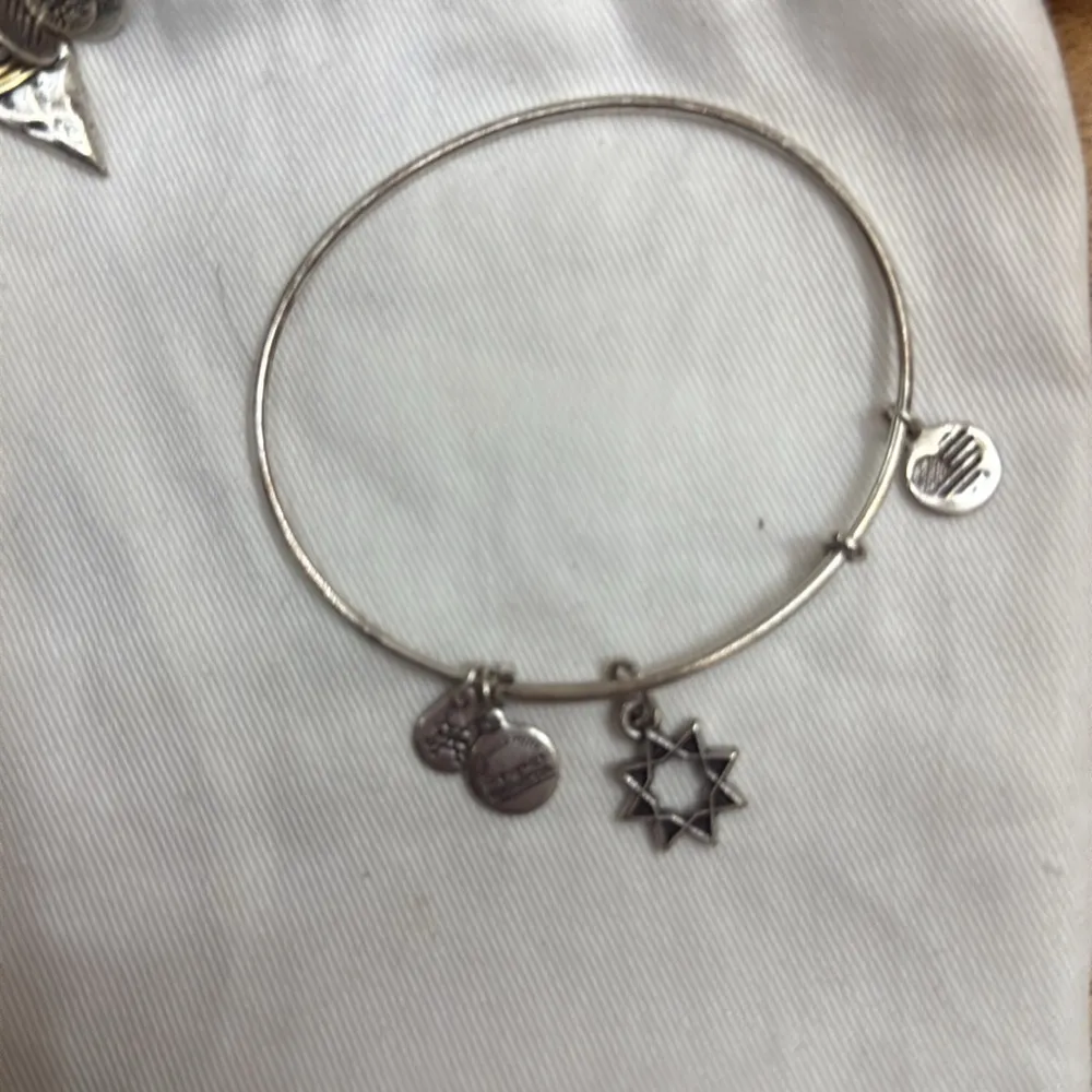 Silver Charm Bracelet Set Alex & ani - Image 4