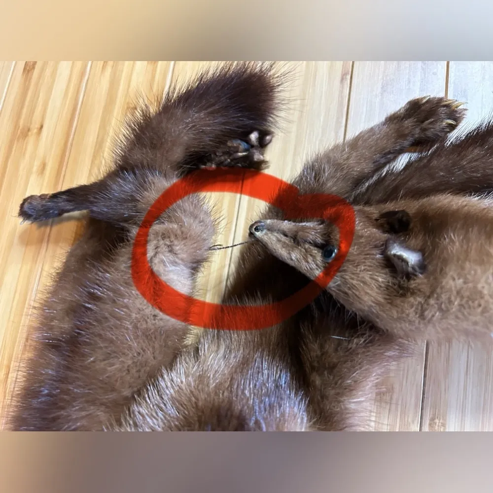 Vintage 4 Mink Fur Complete Body Pelt Scarf Brown - Image 6