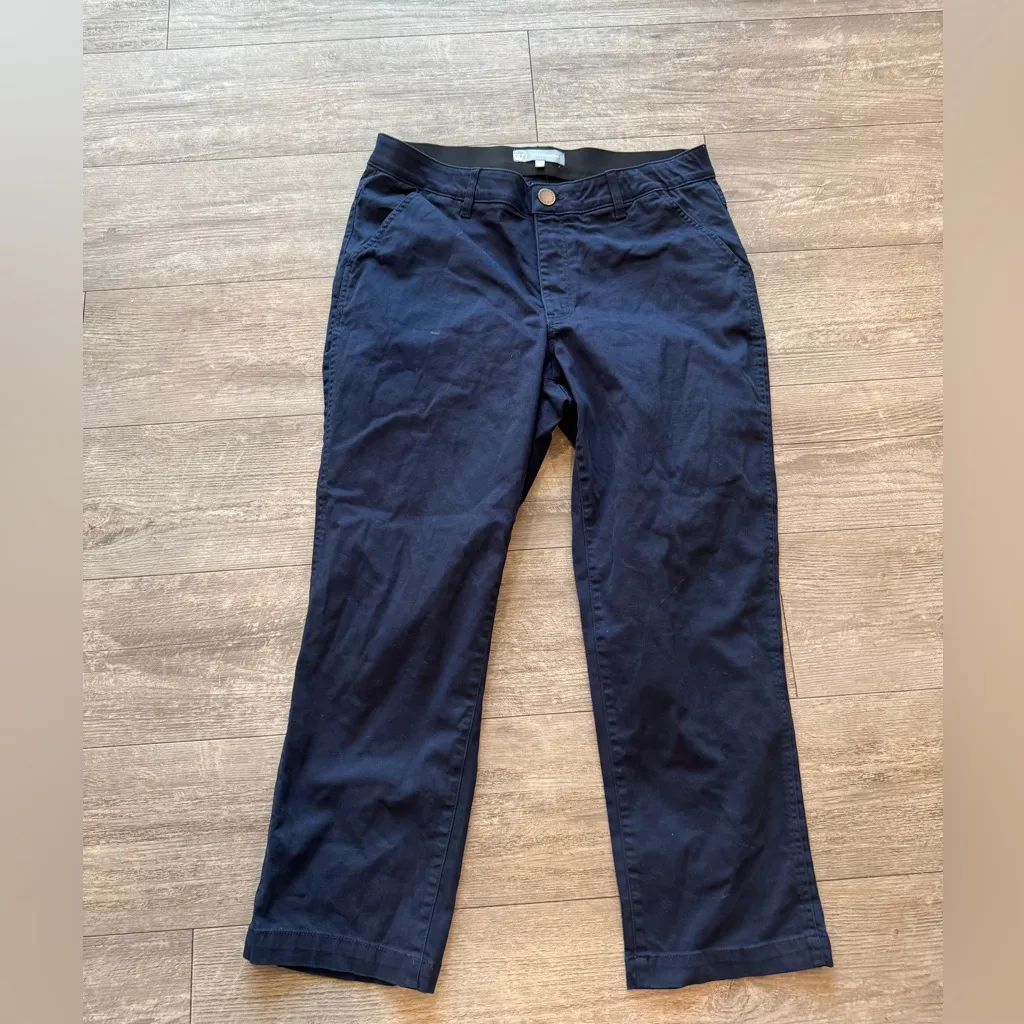 Wit & Wisdom Blue Cropped Pants Size 16W - Image 3