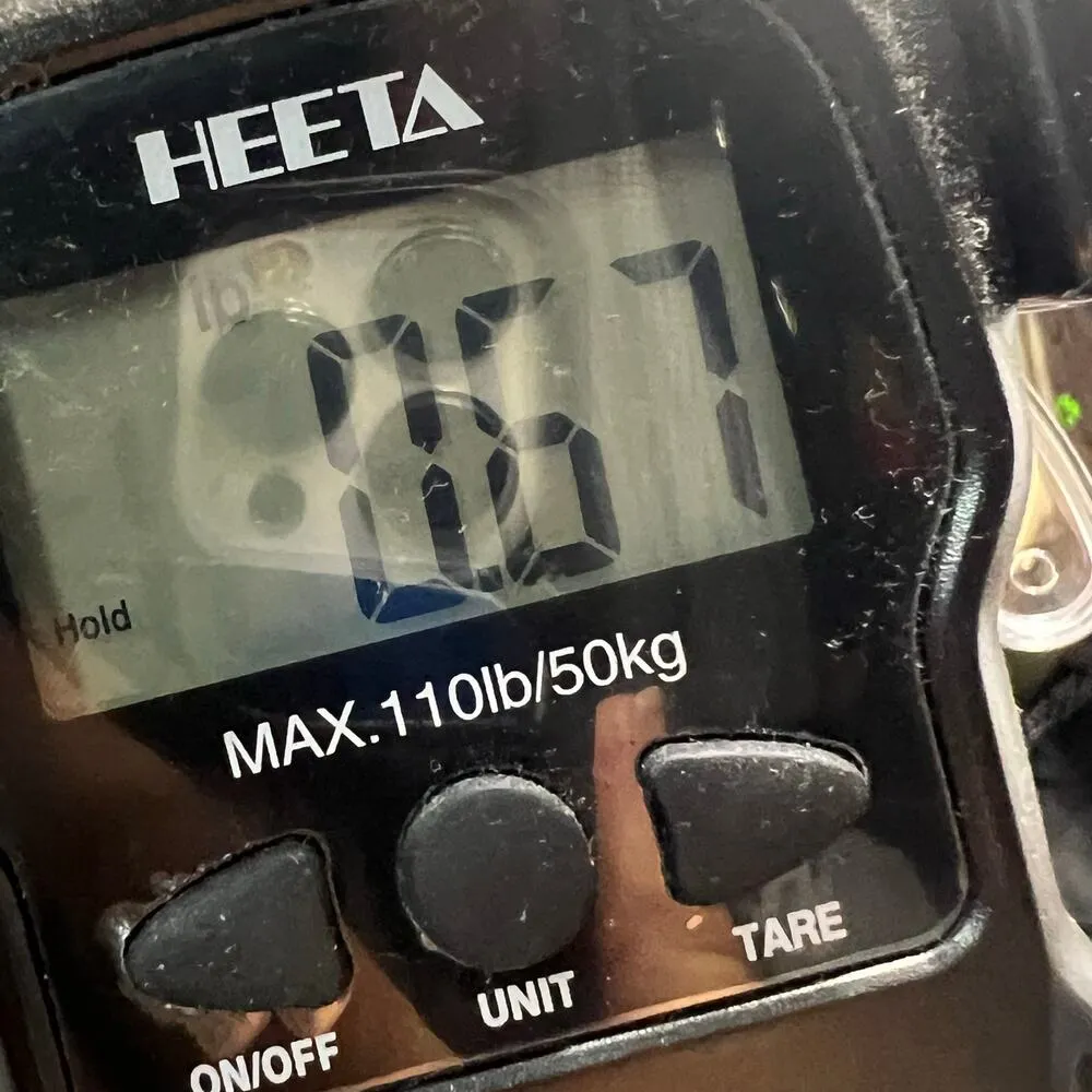 Princess Polly Noami Kate Midi Skirt 10 Green Gingham Tiered Cottage Cowgirl - Image 12