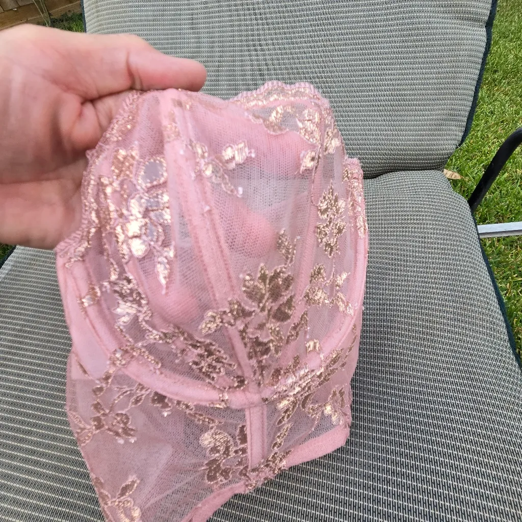Victorias Secret Fashion Show Dream Angels Metallic Lace mesh bra Corset 36D - Image 6