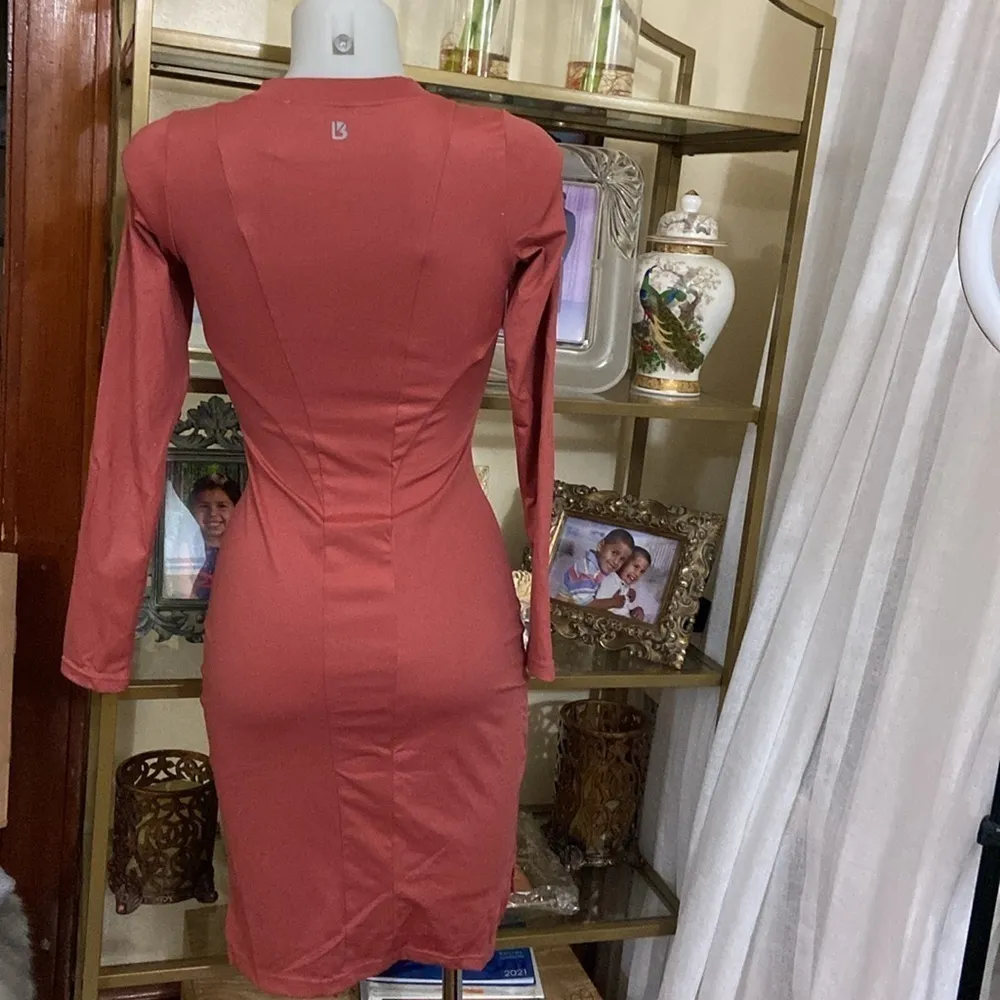 Buffbunny Fall in Love Dress Small EUC - Image 5