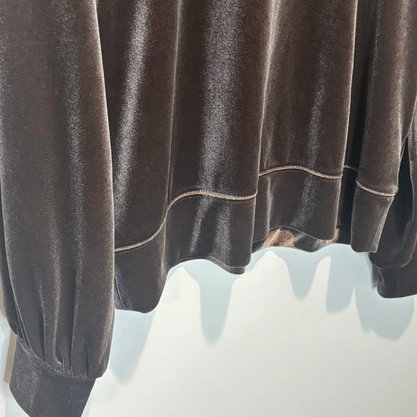 Madewell Velvet Balloon Sleeve Sweatshirt - size Medium - Image 4