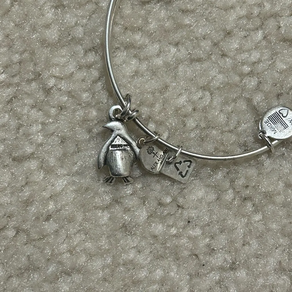 Alex and Ani Silver Penguin Charm Bracelet - Image 6