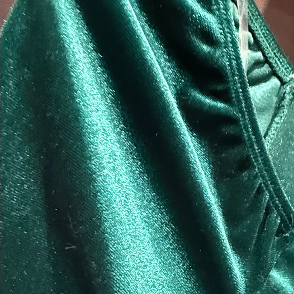 Lily Star Green Velvet Long Sleeve, Lined, Crop Top Size Medium - Image 5