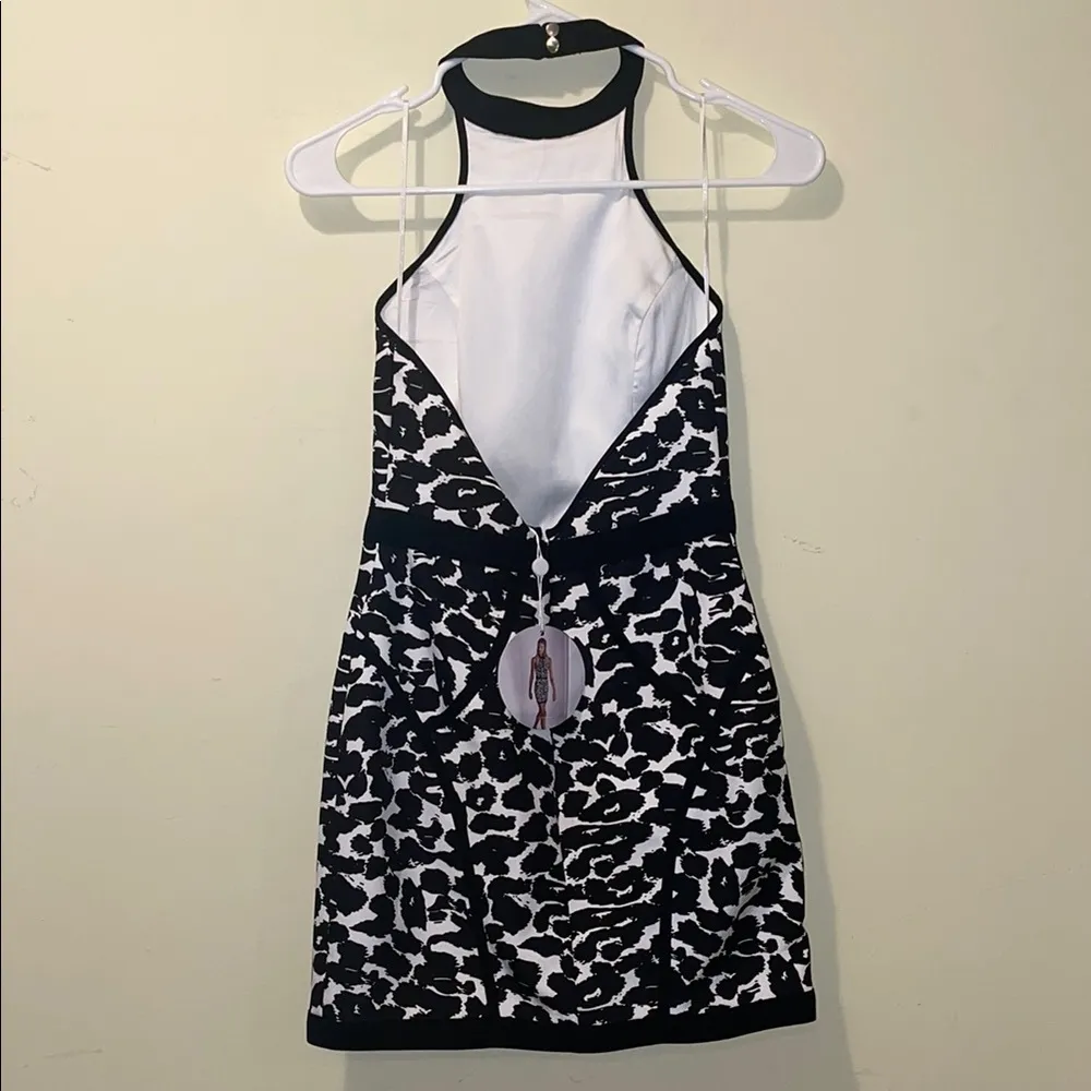 Womens New Finders Keepers Winter Birds Mini Leopard Print Dress - Image 5