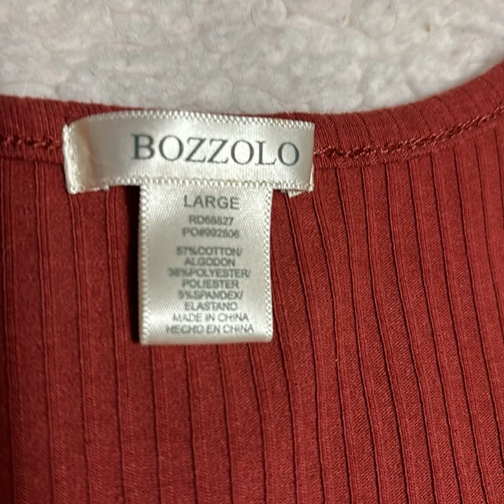 Fitted Short Sleeve Rust Color Dress - Image 9