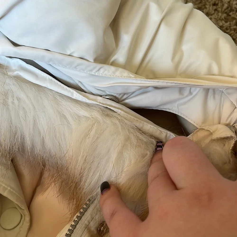 Gap Women’s winter coat - Image 6