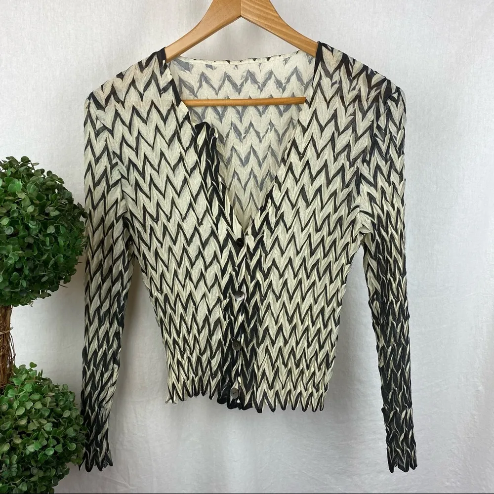 Gray & Ivory Chevron Print Mesh Semi Sheer Fitted Cardigan & Top Vintage Set - Image 4