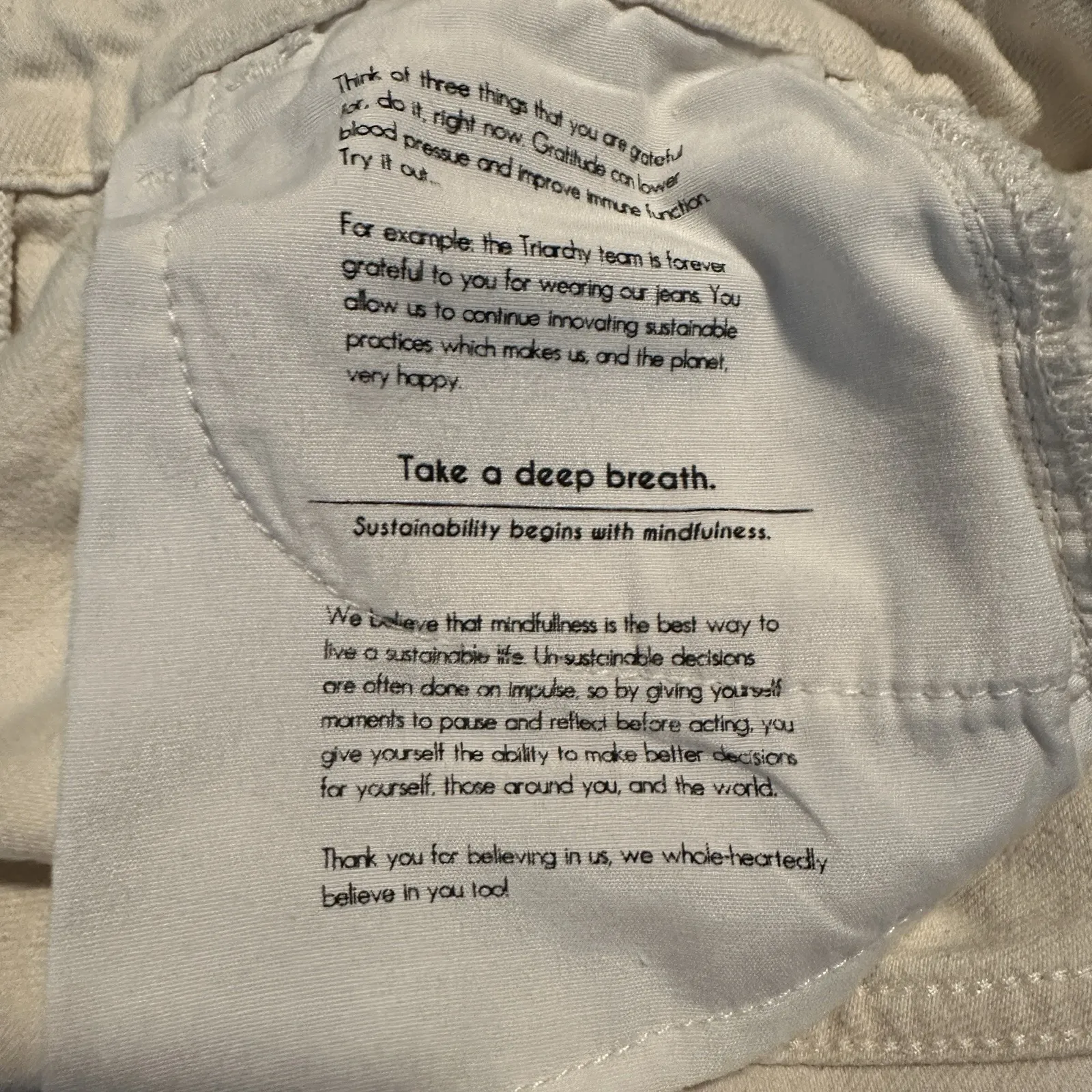 Triarchy Fonda High - Image 11