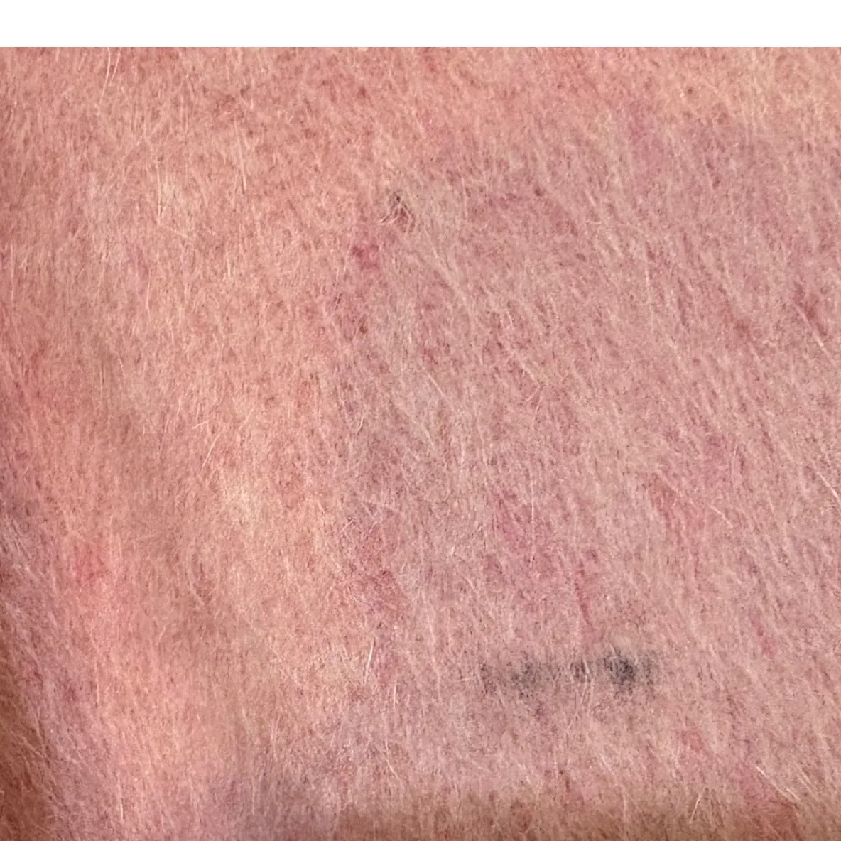 Boden Wool Mohair Pink Peacoat Jacket Size 6 Petite Preppy Outerwear Womens - Image 5