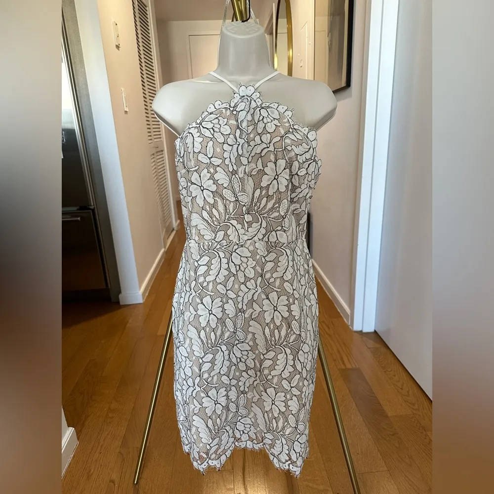 Beige And Ivory Floral Lace Bodycon Dress - Image 4