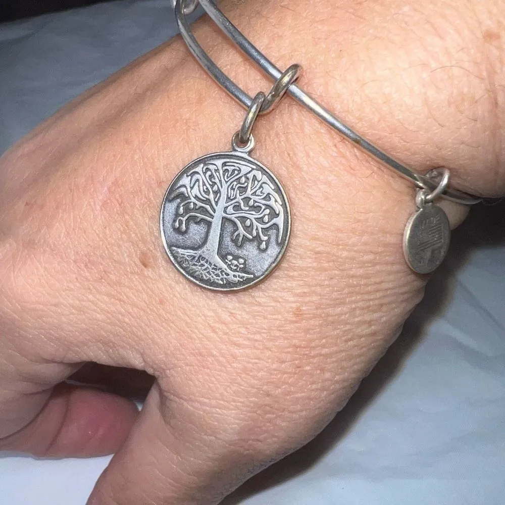 Alex‎ And Ani Boston Tree Of Life Bracelet With Charm Rafaelian Silver - Image 6