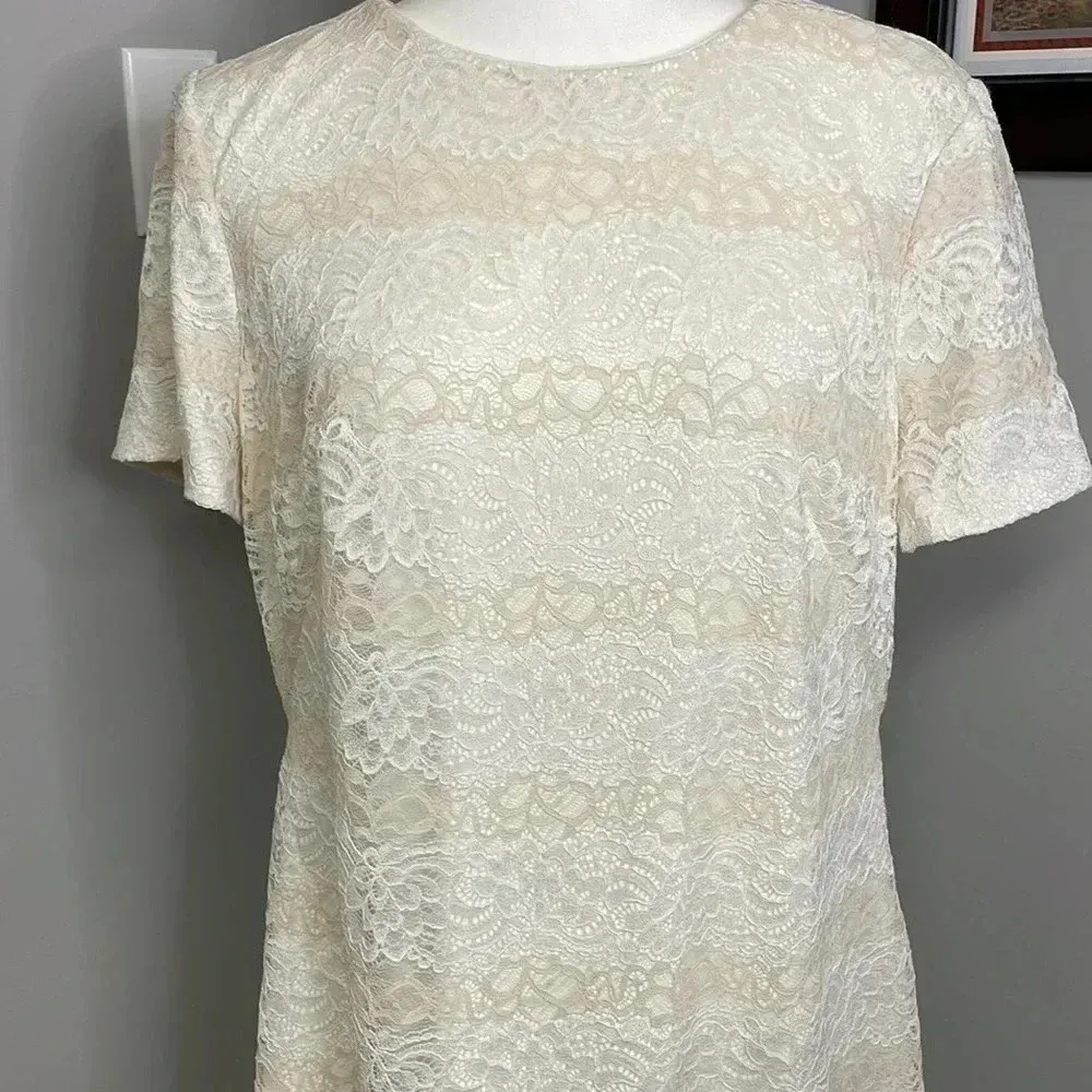 Lauren Ralph Lauren Beige Mono Neutral Lace Sheath Dress Size 16 Womens Stunning - Image 2