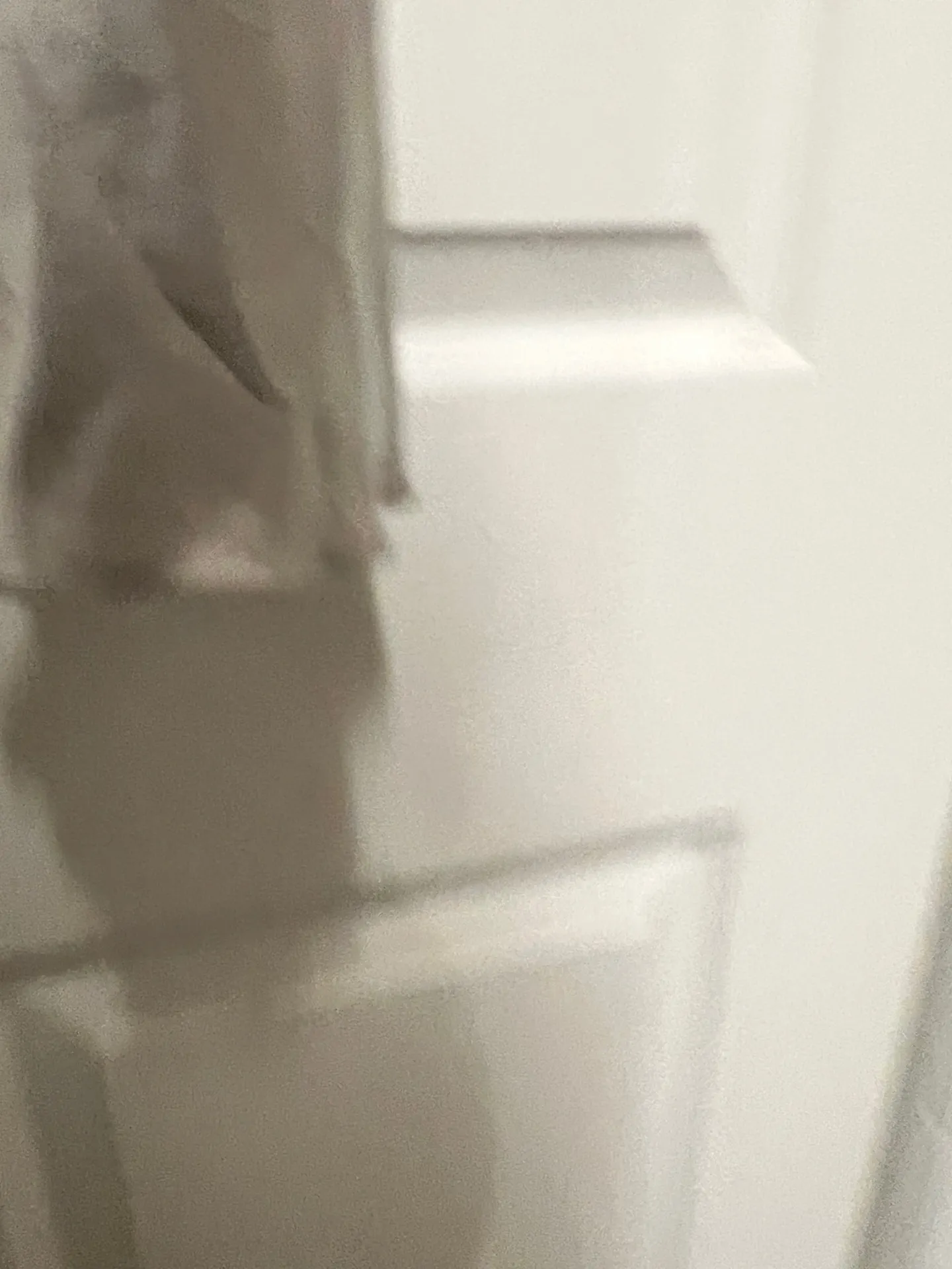  Beige Botany Silver Belle Sleeve Satin Crop Top - Image 6