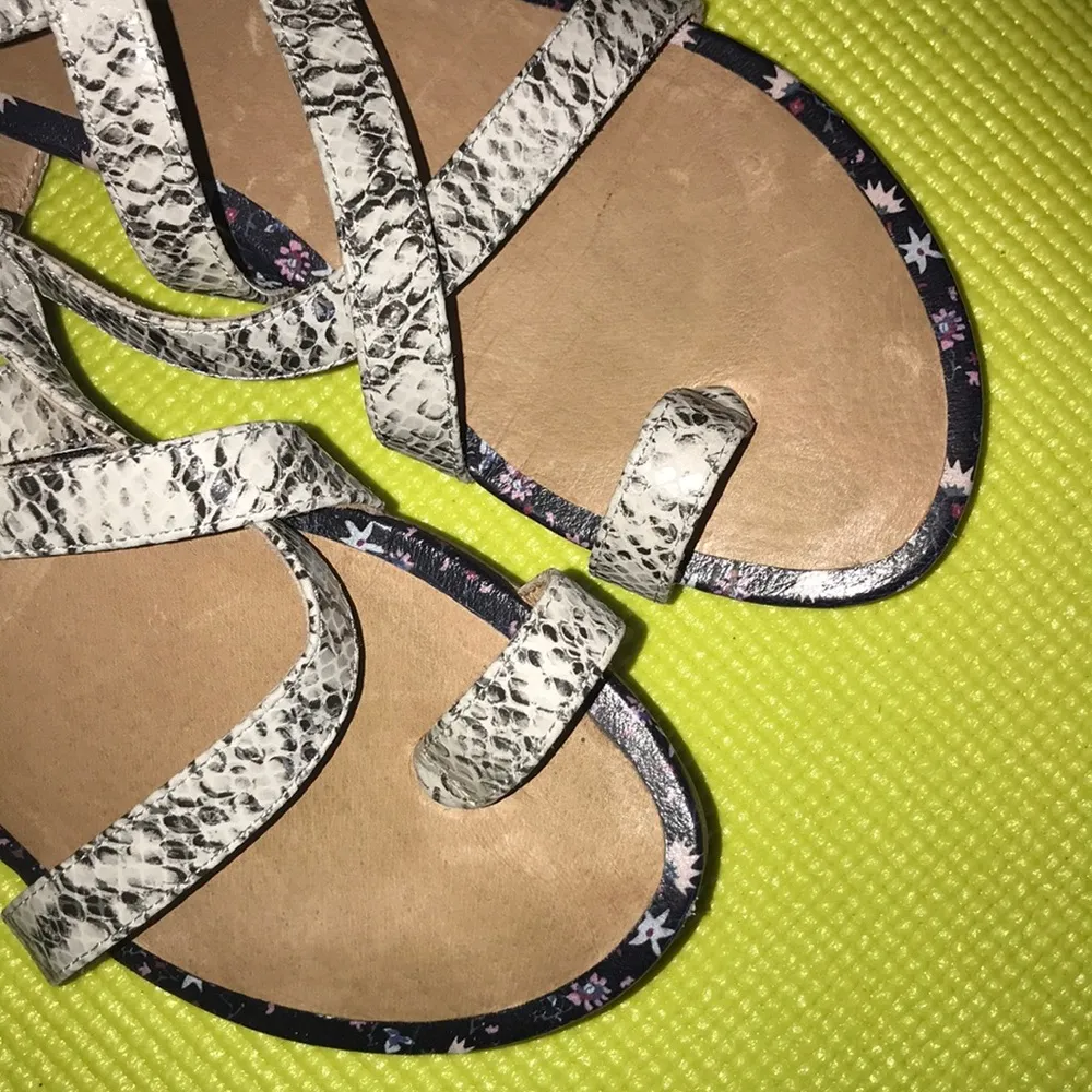 Cabi Strappy Gladiator Sandals 7 - Image 4