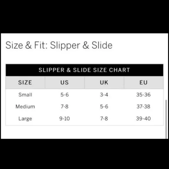 PINK‎ Victoria Secret Silver Single Padded Strap Slides With White Logo Dog - Image 12