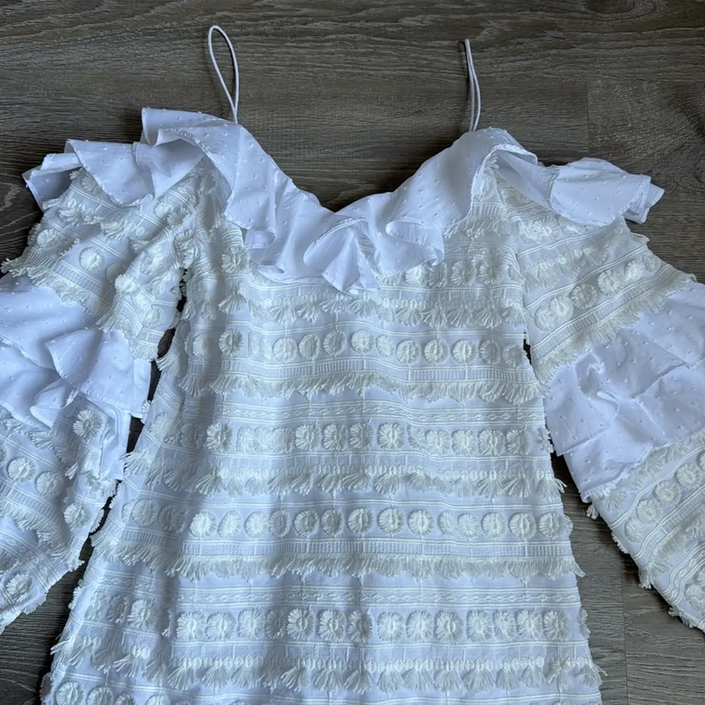 Alexis Calypso Ruffle Mini Dress - Image 6