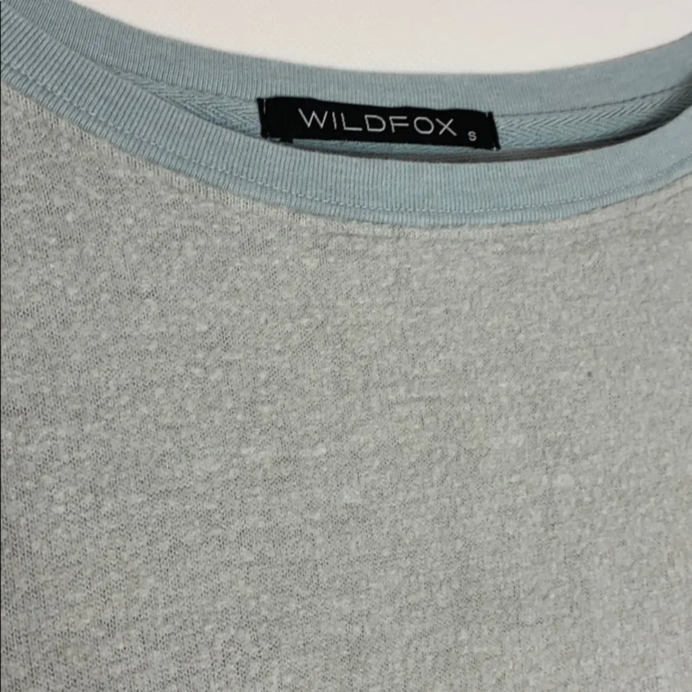 Wildfox baggy beach Geisha Gray sweatshirt - Image 3
