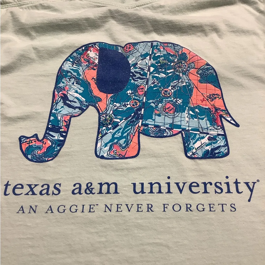 Comfort Colors Texas A&M Aggies Women’s Graphic Tees - ALL 3 one Price Bundle. - Image 12