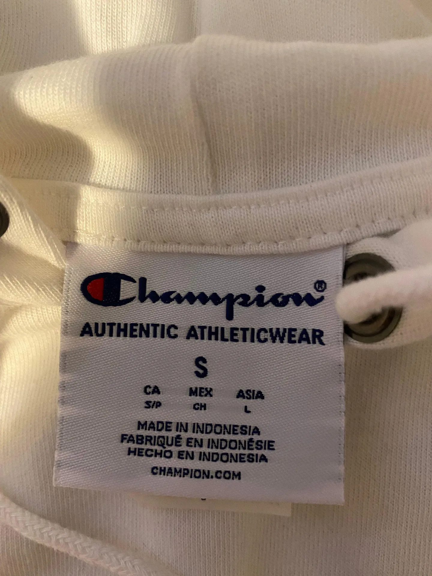 Champion Hoddie - Image 3