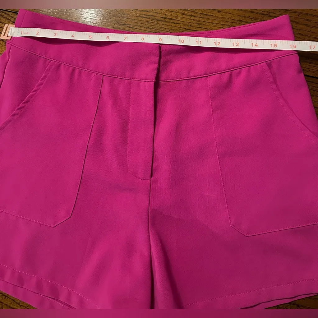 TCEC Pink High Waist Shorts, Size Large - Image 6