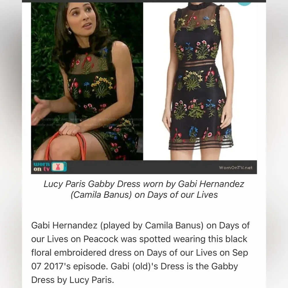 Lucy Paris Gabby Floral Embellished Embroidered Mesh Dress Size Small - Image 3