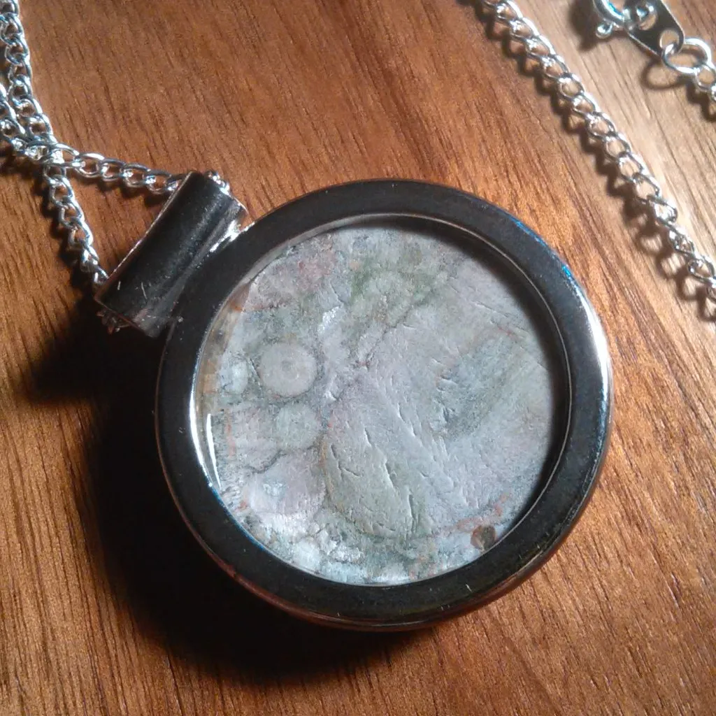 Insect Fossil Jasper Round Silvertone Pendant Necklace - Image 6