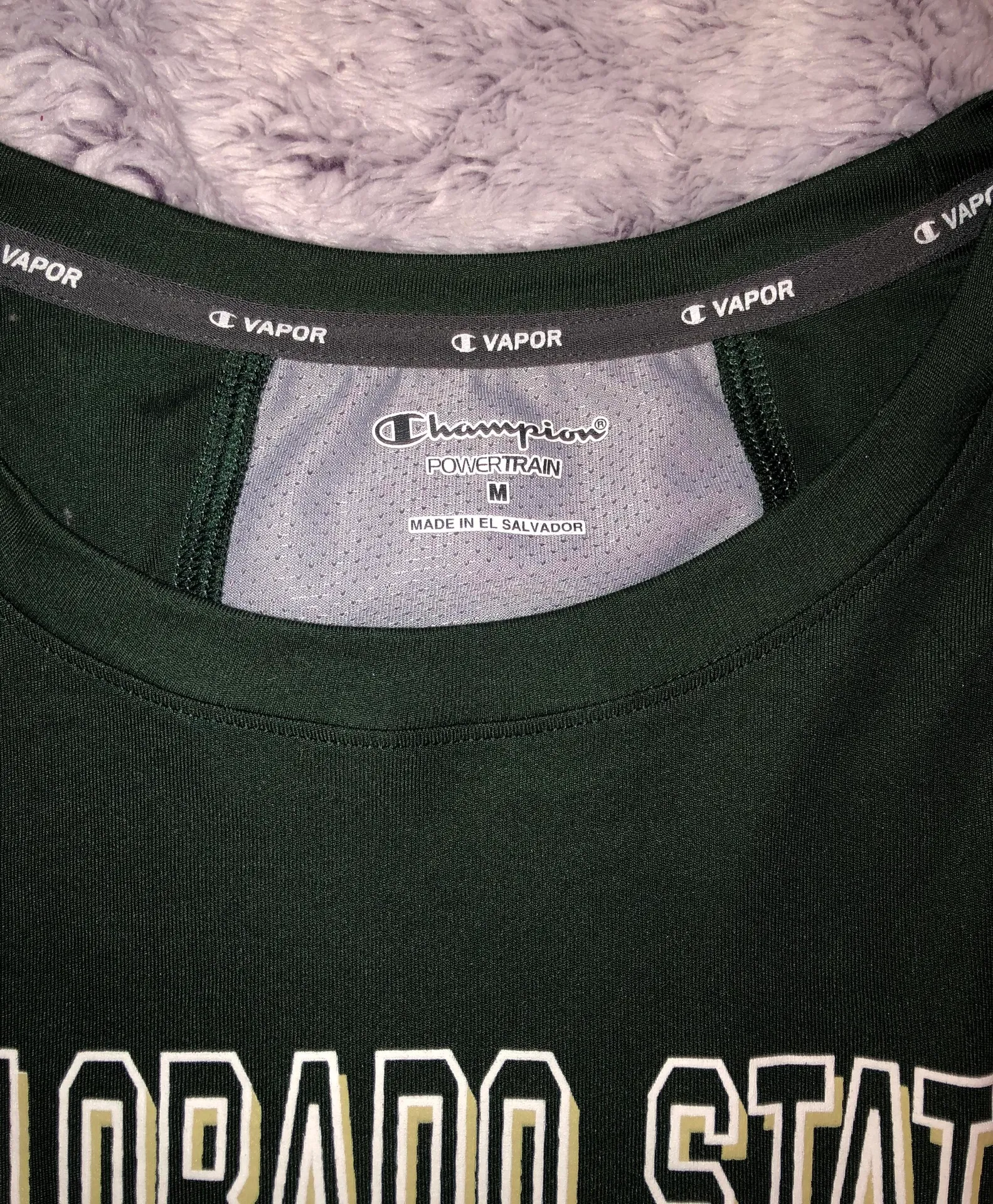 Champion CSU Longsleeve Top - Image 7