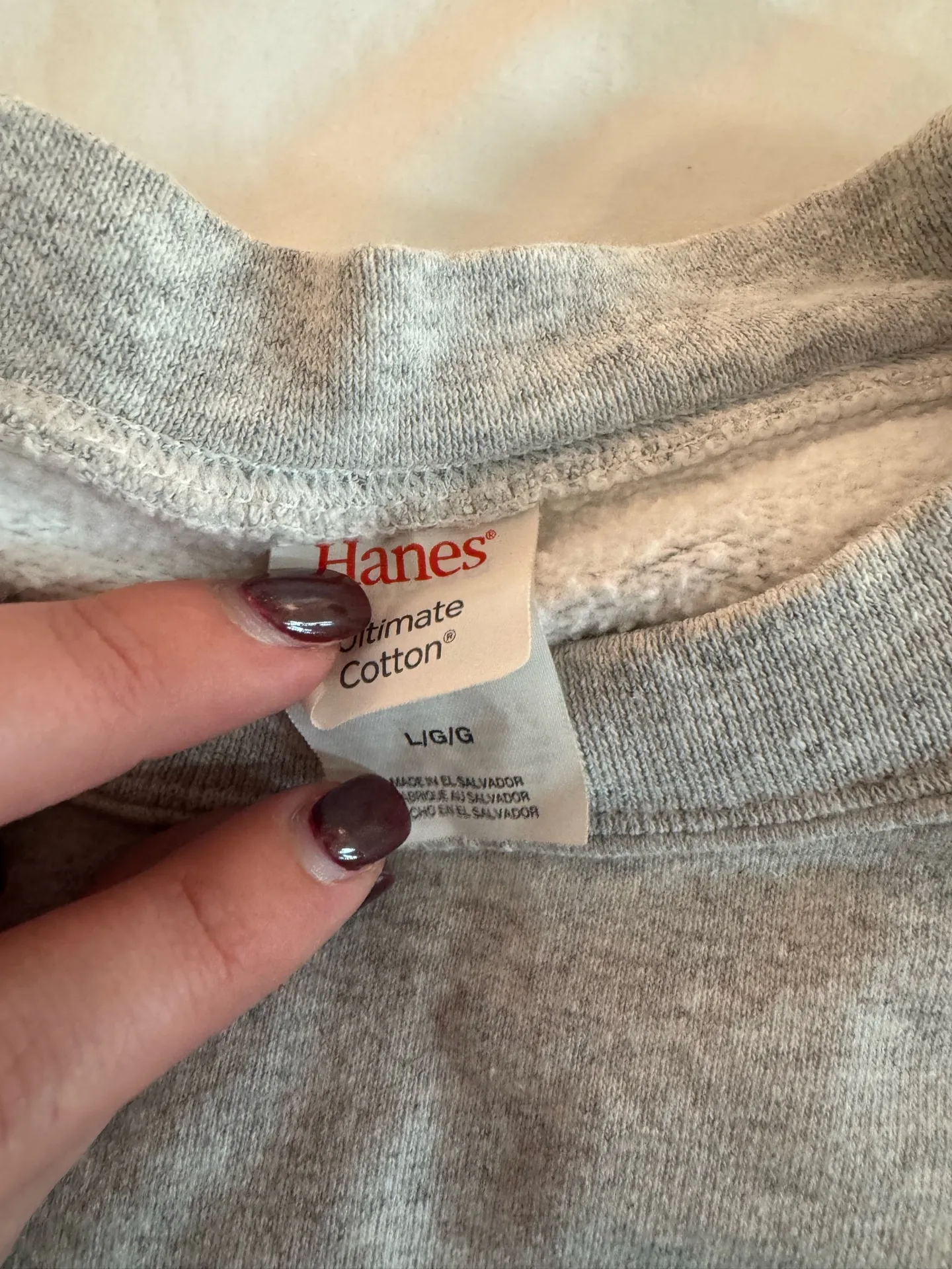 SEC Sweatshirt Hanes Crewneck - Image 3