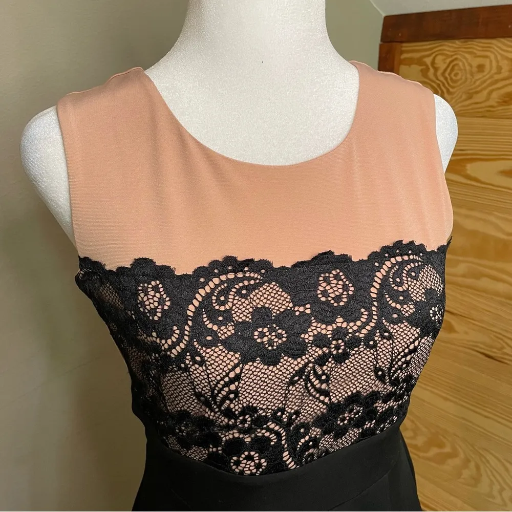 Enfocus Studio Pink & Black Sleeveless Lace Top Dress 4 - Image 79