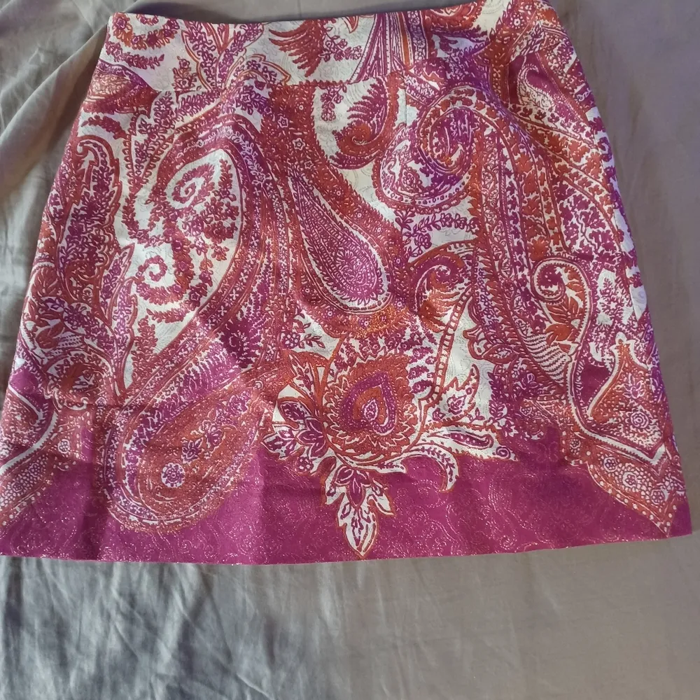 Ann Taylor Skirt Petite size 2P Pleat Front Multicolor Paisley Metallic Shimmer - Image 6