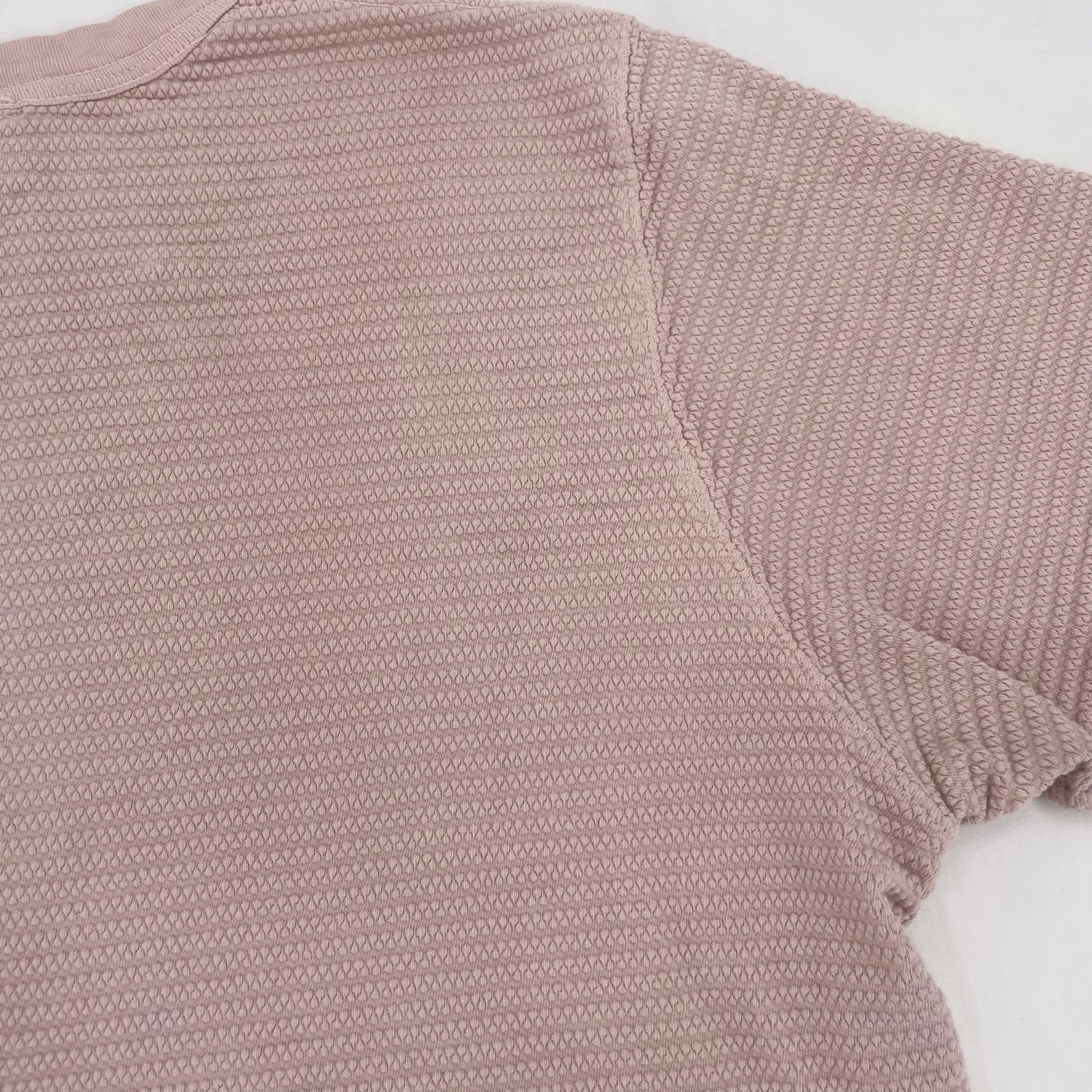 Big Bud Press Thrashed Honeycomb Crop Tee Faded Powder Pink Short Sleeve Top L Size L - Image 11