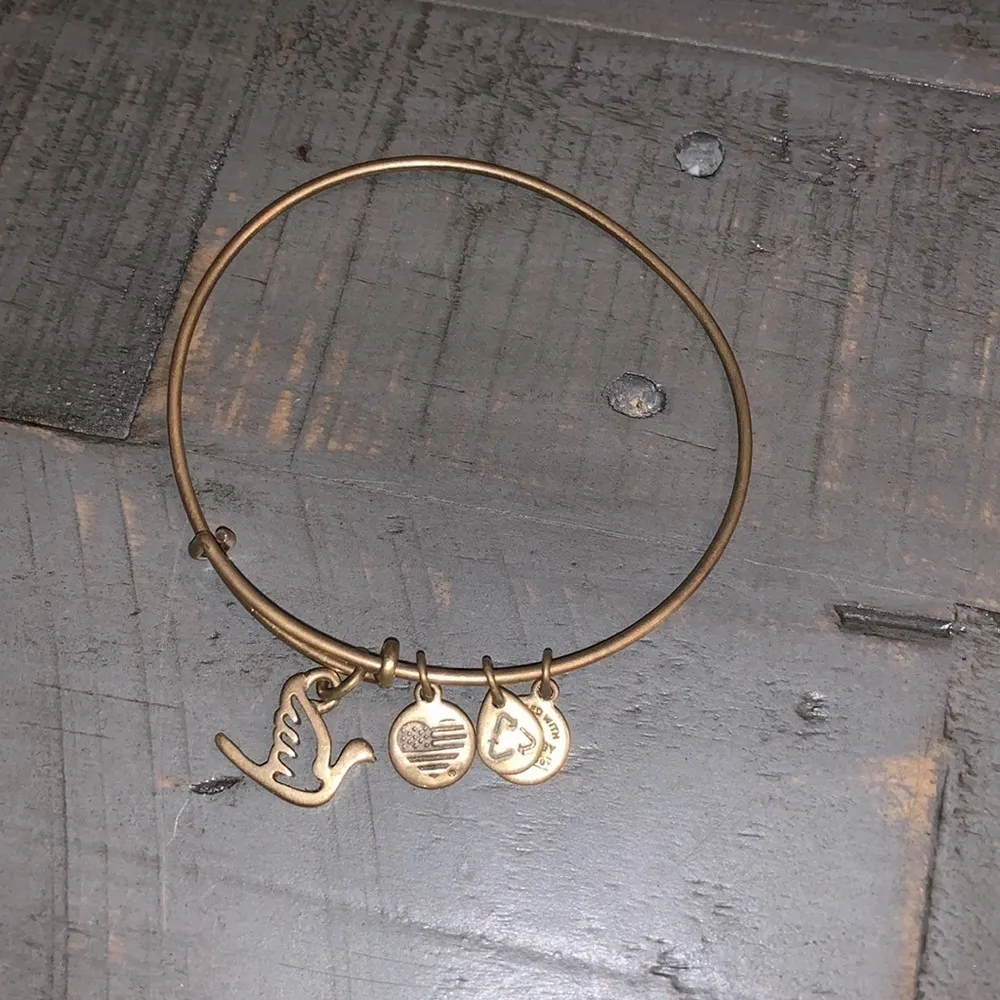 Alex‎ and Ani Dove Bangle Bracelet - Image 2