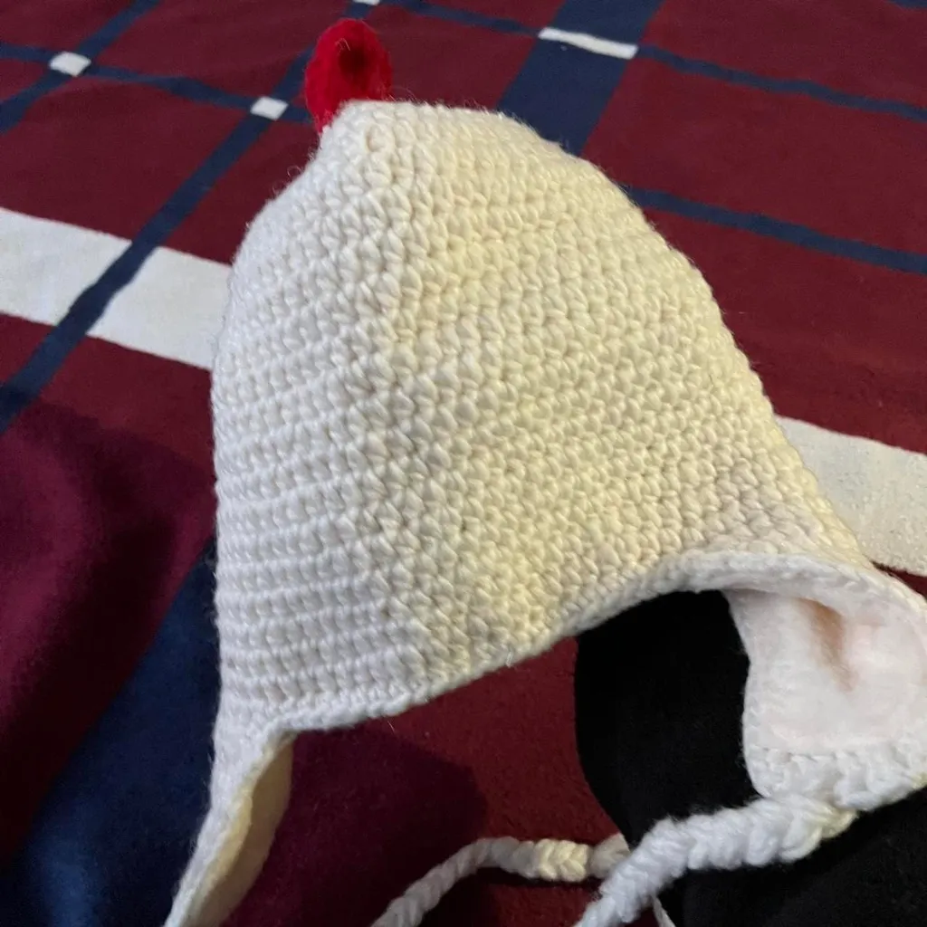 Handmade crochet chicken fleece hat - has bulging eyes funky glasses Halloween - Image 2
