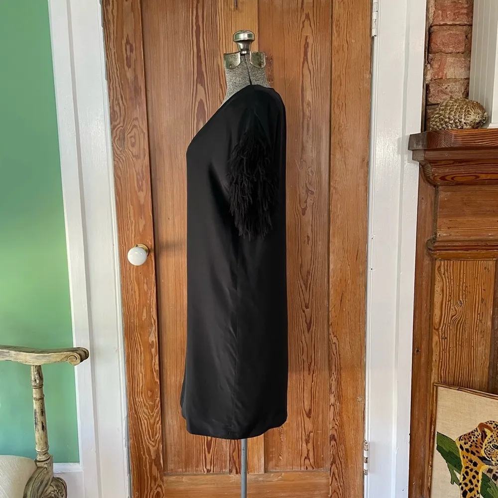 Marie Oliver Black Silk Feather Fringe Sleeve V-Neck Mini Shirt Dress - Sz XS - Image 6