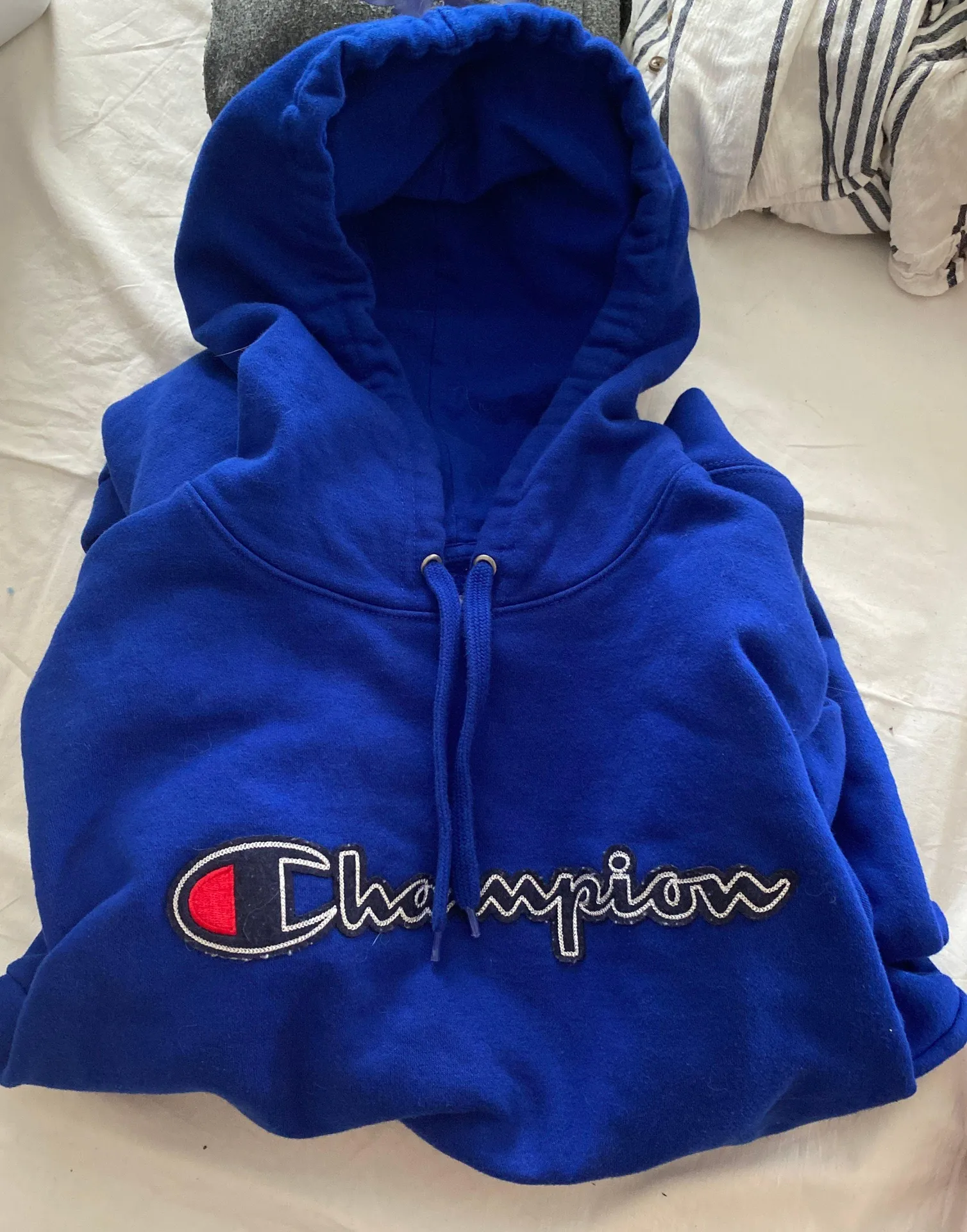 Champion unisex Hoodie - Image 2