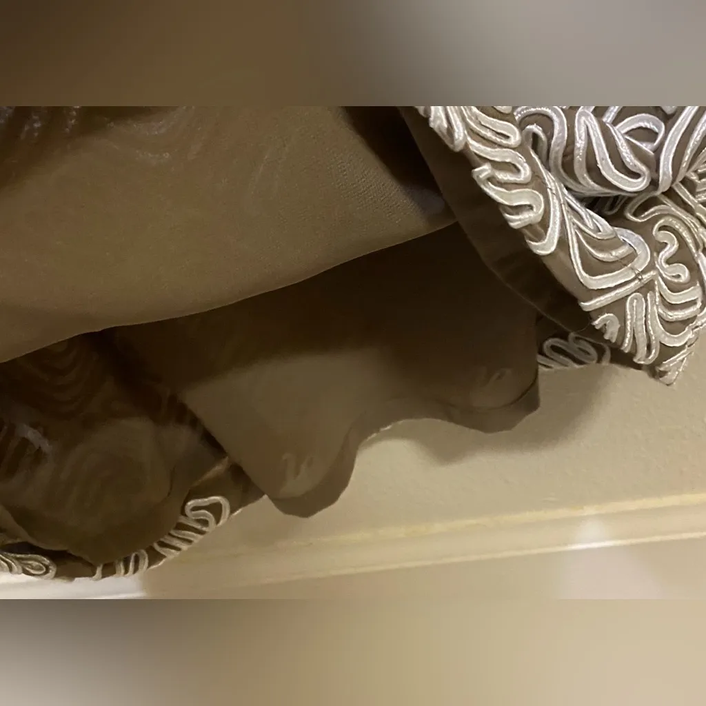 Giorgia & Johns embroidered Pencil Tight Sleeveless Dress Women's Sz Large Brown - Image 12