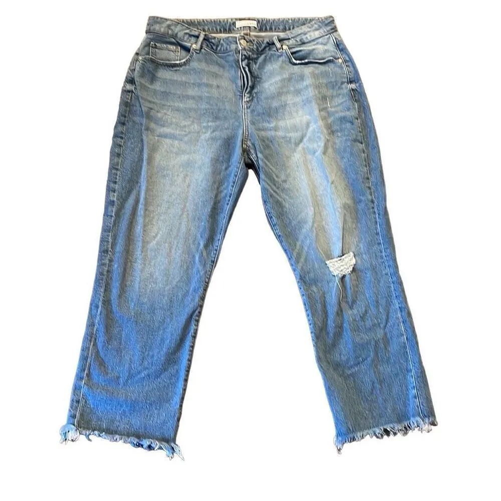 Loft the curvy straight crop distressed knee jeans 32 - Image 12