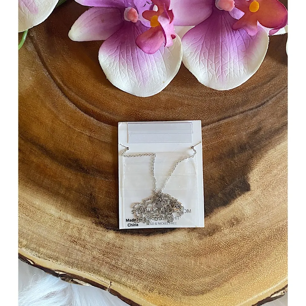 NWT Sterling Forever Silver Scorpio Necklace - Image 6