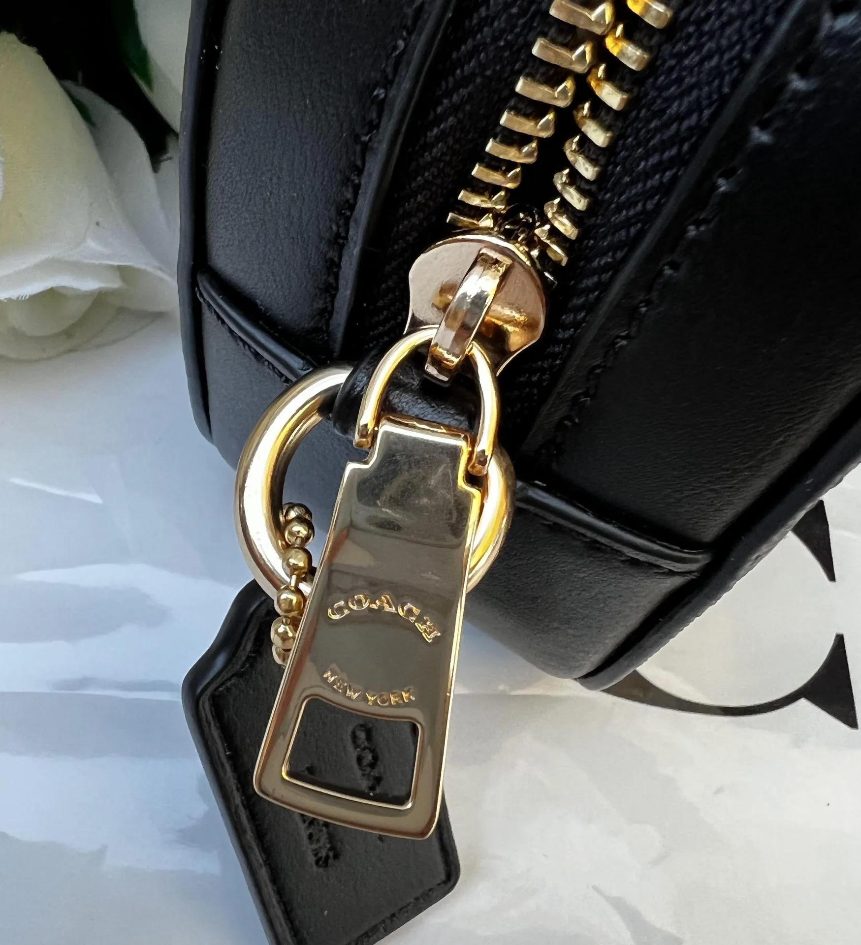 Coach X Peanuts Mini Serena Crossbody In Signature Canvas With Woodstock c4587 - Image 6