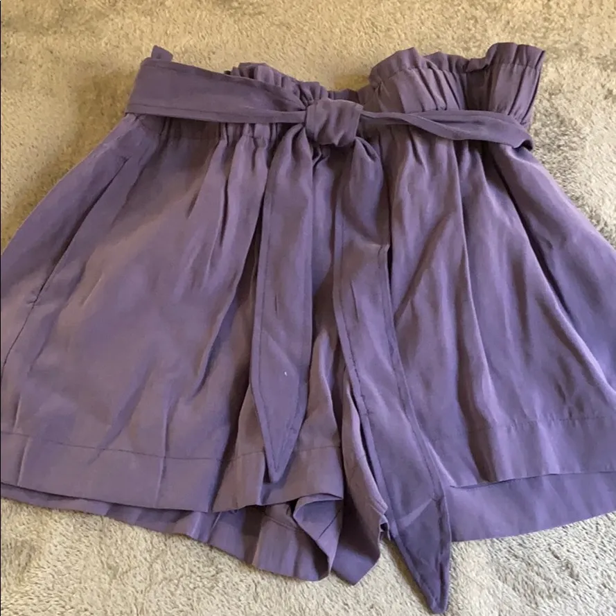 BCBGMAXAZRIA Tie Waist Shorts - Image 4